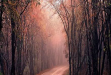 2025年中国足协国际级裁判名单:马宁、傅明领衔.