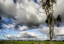 [CBA]季后赛5月11日：辽宁VS广东 胡明轩集锦.