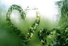 [天下足球]拜仁主场爆冷不敌波鸿.