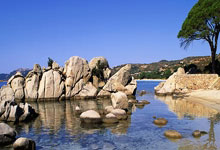 2025石家庄马拉松赛开跑.